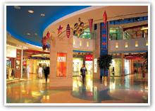Shopping Malls & Showrooms